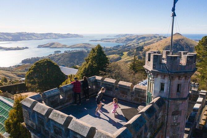 Larnach Castle & Otago Wildlife Cruise from Dunedin - Key things to know before you go