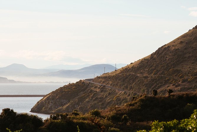 Larnach Castle & Otago Wildlife Cruise from Dunedin - Wildlife viewing reality: how to set expectations (without killing the fun)