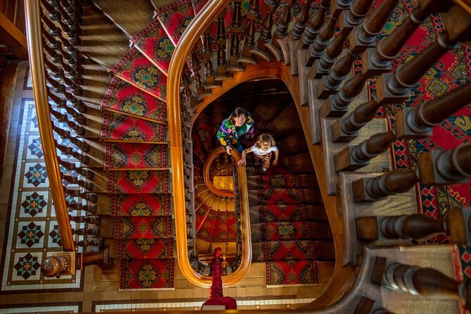 Larnach Castle & Otago Wildlife Cruise from Dunedin - What makes the guides matter, beyond facts and photos