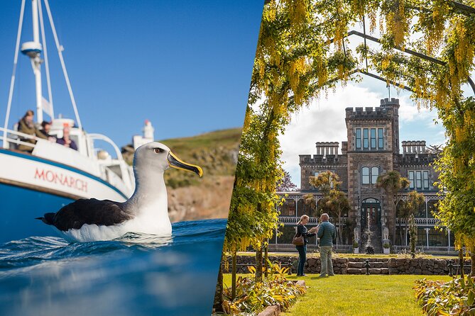 Larnach Castle & Otago Wildlife Cruise from Dunedin - Larnach Castle and Gardens: the history-heavy first anchor