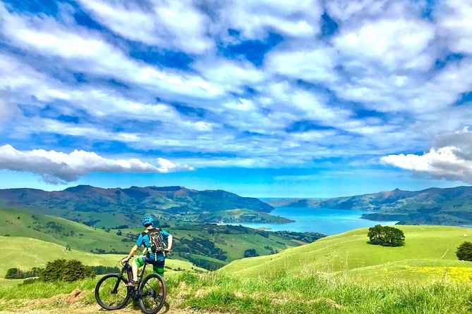 Lava Loop- Guided electric mountain bike tour in Akaroa - Lava Loop e-bike Quick Hits: what makes this ride click