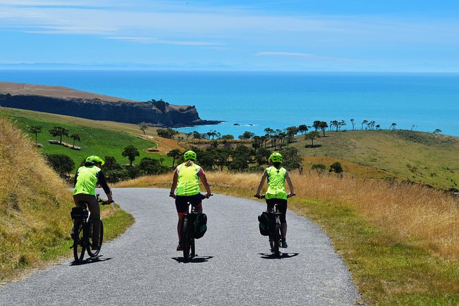 Lava Loop- Guided electric mountain bike tour in Akaroa - Riding tips that help you enjoy the climb more
