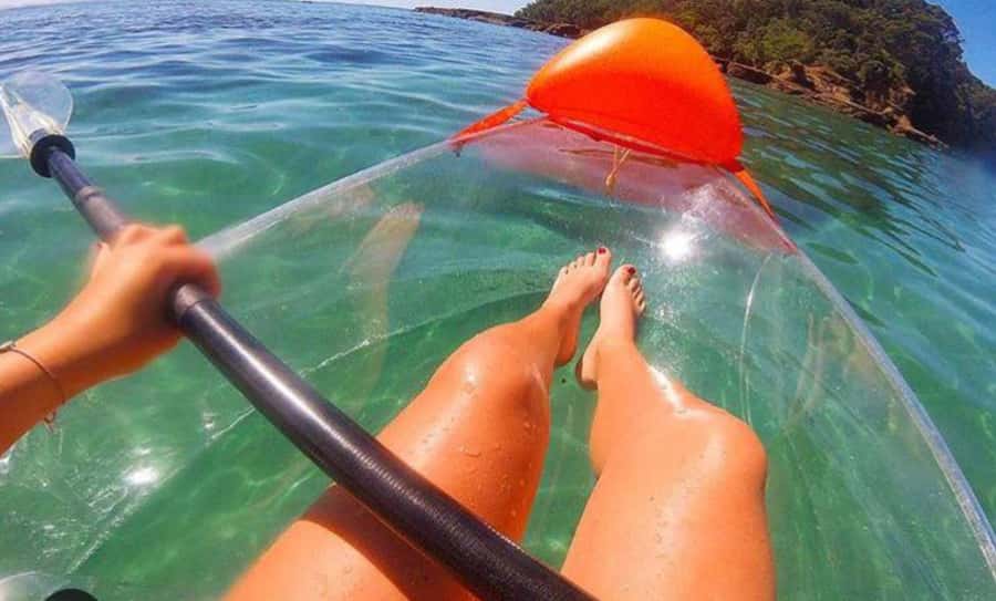 Leigh: Goat Island Clear Kayak Rental - Key highlights worth knowing
