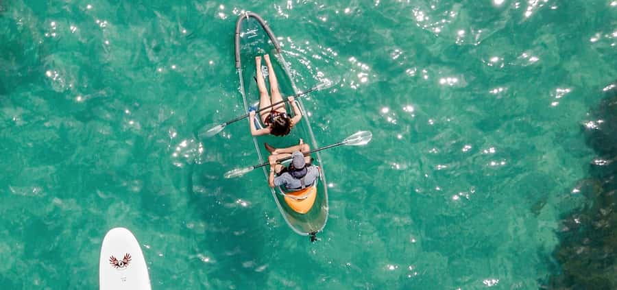 Leigh: Goat Island Clear Kayak Rental - Goat Island Marine Reserve: clear water, real wildlife