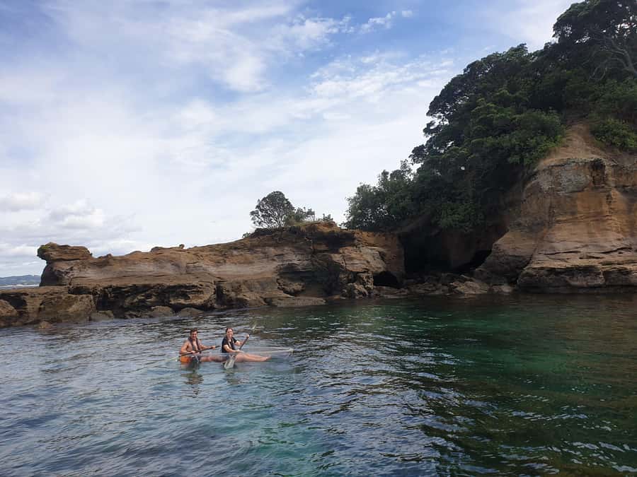 Leigh: Goat Island Clear Kayak Rental - What you might see: tāmure, nanua, blue maomao, and rays
