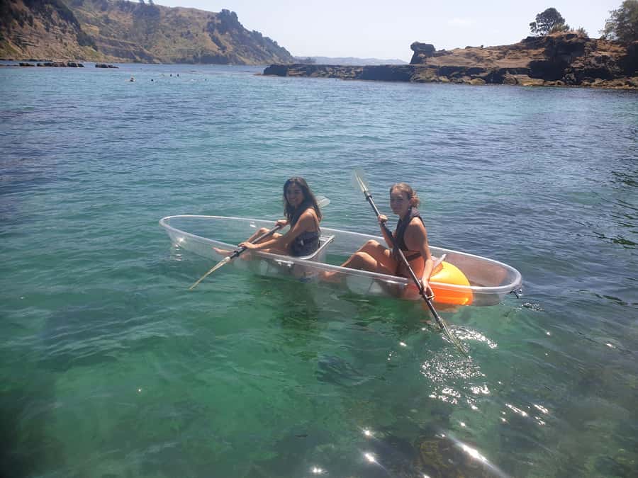 Leigh: Goat Island Clear Kayak Rental - Small group attention and why it matters when conditions change