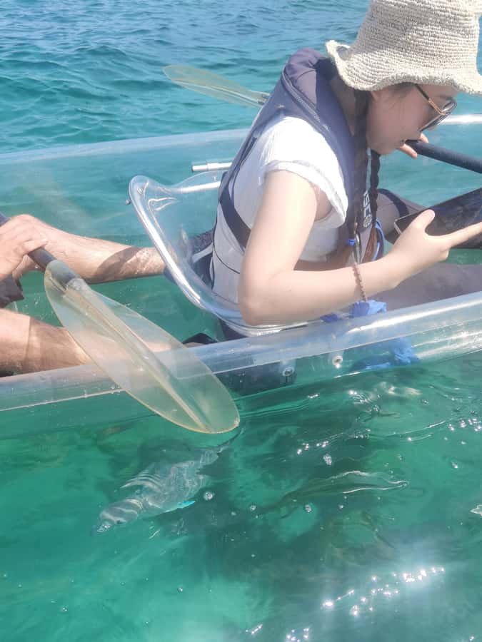 Leigh: Goat Island Clear Kayak Rental - Should you book Goat Island Clear Kayak Rental?
