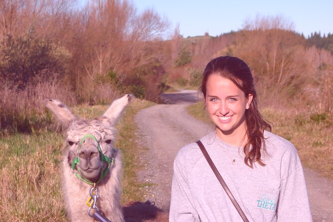 Llama Trek (Taster) - Kowhai River Valley and Native Woodland Tour - Meeting at Kowhai Ford Road, and Why the Group Stays Tiny