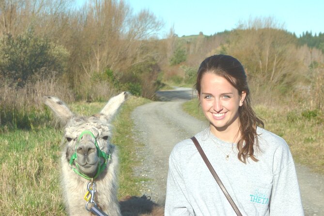 Llama Trek (Taster) - Kowhai River Valley and Native Woodland Tour - Native Woodland Birds and Wildlife You Can Actually Notice