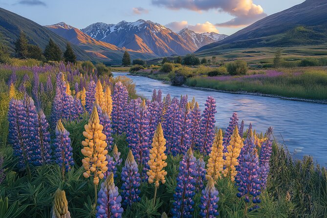 Lord of the Rings Scenic Half Day Tour from Queenstown - Picnics, role-play, and photo time that won’t feel rushed