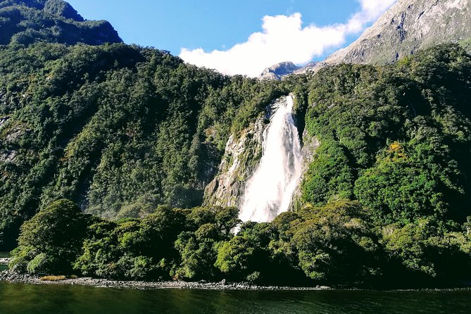 Luxury Milford Sound Coach and Scenic Cruise - Milford Sound cruise: waterfalls, seals, and wildlife chances