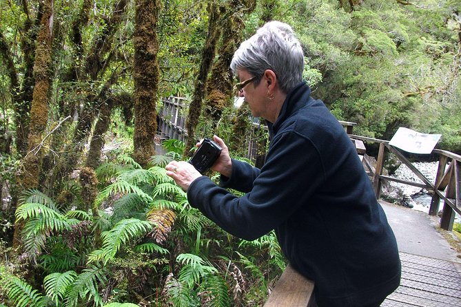 Luxury Milford Sound Coach and Scenic Cruise - Food expectations: what to do if lunch is not your thing