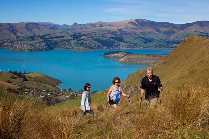 Luxury Private Guided Crater Rim Walk on Banks Peninsula - Why Banks Peninsula crater-rim views beat a standard Christchurch outing