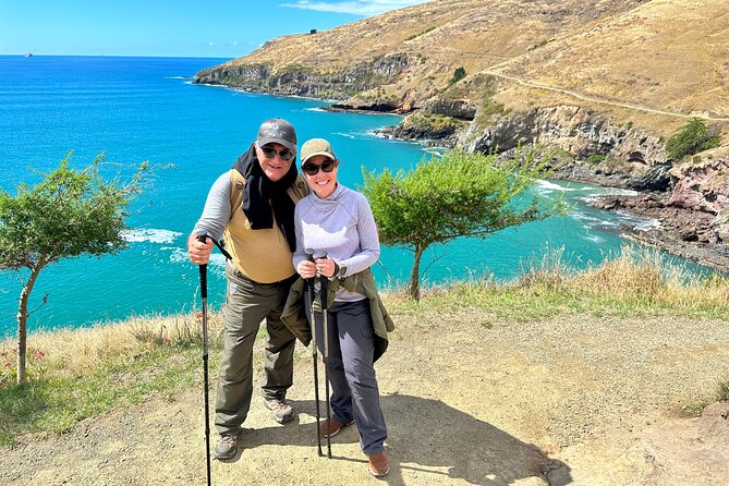 Luxury Private Guided Crater Rim Walk on Banks Peninsula - Godley Head: the 8 km loop that turns the day into a real hike