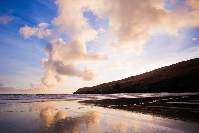 Luxury Private Guided Crater Rim Walk on Banks Peninsula - Coffee, tea, lunch, snacks, and the “half-day without stress” design
