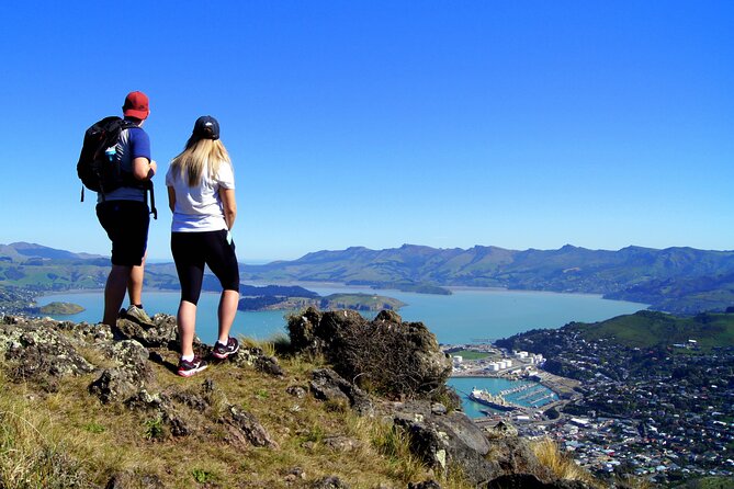 Luxury Private Guided Crater Rim Walk on Banks Peninsula - Price and value: €301.04 per person in real-world terms