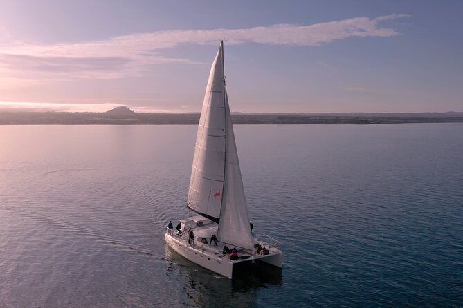 Luxury Sailing - Māori Rock Carvings - Taupo Sailing Adventures - The fully licensed bar, beanbags, and snacks that keep it fun
