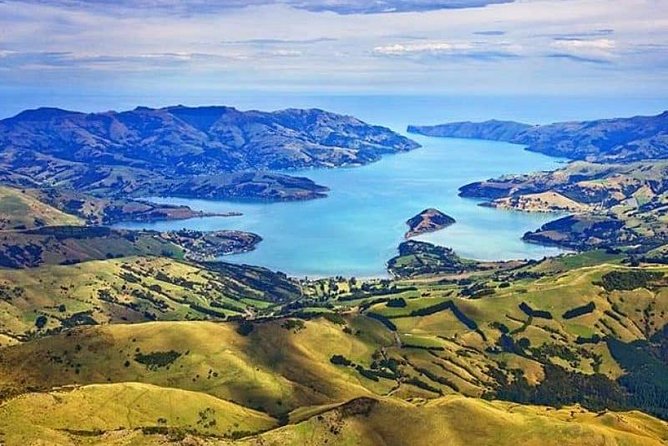 Lyttelton Cruise Excursions: Christchurch Sightseeing with Sheep Farm - Stop 6: Toby Hill Farm, sheep-shearing, and dogs that herd on purpose