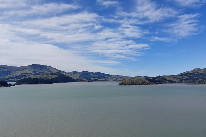 Lyttelton Shore Excursion: Christchurch Sightseeing with Antarctic Center - Cathedral Square: the city center on foot