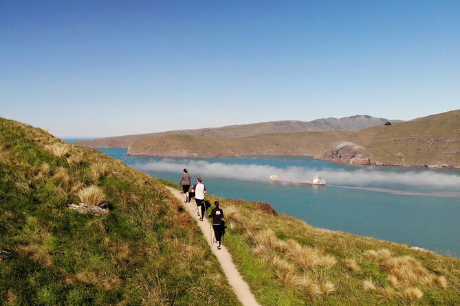 Lyttelton Shore Excursion - Guided Walking Tour and Picnic - Key Points Before You Go