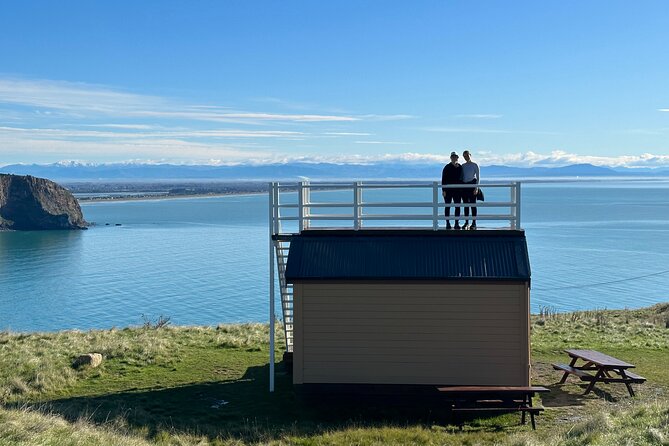 Lyttelton Shore Excursion - Guided Walking Tour and Picnic - The Main Event: Godley Head Loop Track and Its WWII, Coast, and Scott’s Hutt