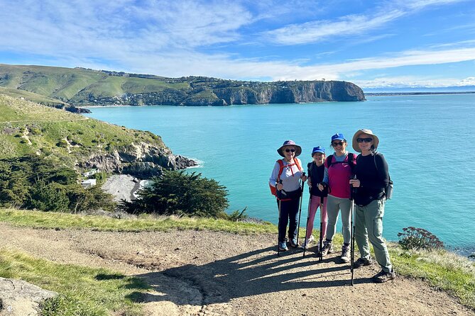 Lyttelton Shore Excursion - Guided Walking Tour and Picnic - How This 5-Hour Plan Fits Your Shore Day (and Still Feels Relaxed)