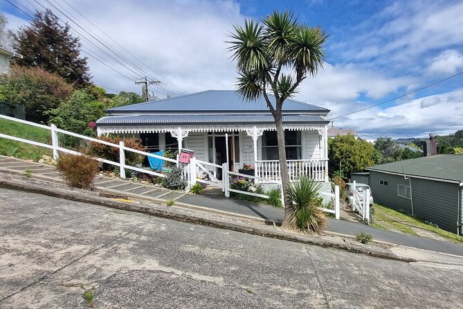 Mainland Peninsula Tour - Why This Dunedin and Otago Peninsula Mix Works