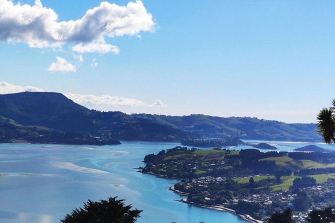 Mainland Peninsula Tour - Weather, Wildlife Odds, and How to Plan Your Mindset