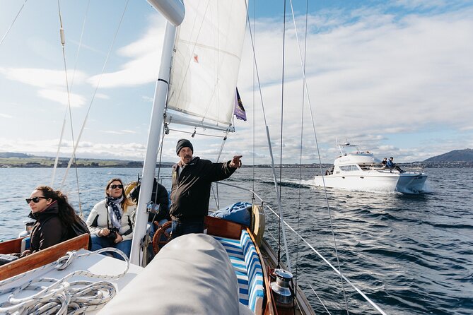 Maori Rock Carvings Eco Sailing Taupo - Drinks and Evening Atmosphere: Wine, Beer, or Soft Drinks