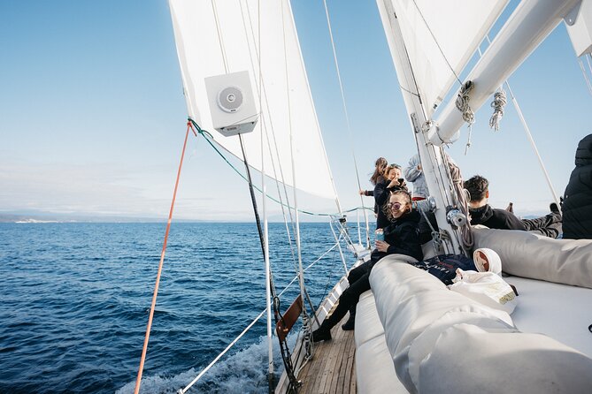 Maori Rock Carvings Eco Sailing Taupo - Swimming Time: The Part That Turns a Tour Into a Memory
