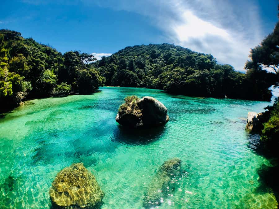 Mārahau: Abel Tasman Marine Reserve Kayak Tour - Key things that make this tour worth it