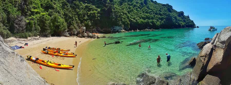 Mārahau: Abel Tasman Marine Reserve Kayak Tour - Keeping the day comfortable: fitness, water confidence, and gear
