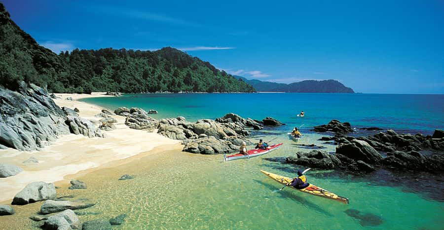 Mārahau: Abel Tasman Marine Reserve Kayak Tour - Price and value: is $212 worth it for an 8-hour day?