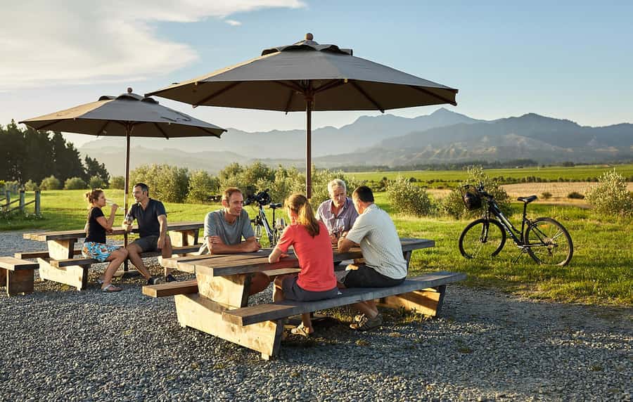 Marlborough: Full-Day Self-Guided Biking Wine Tour - Key highlights you’ll feel right away