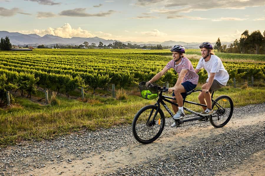 Marlborough: Full-Day Self-Guided Biking Wine Tour - How the day flows: start times, timing, and how to pace tastings