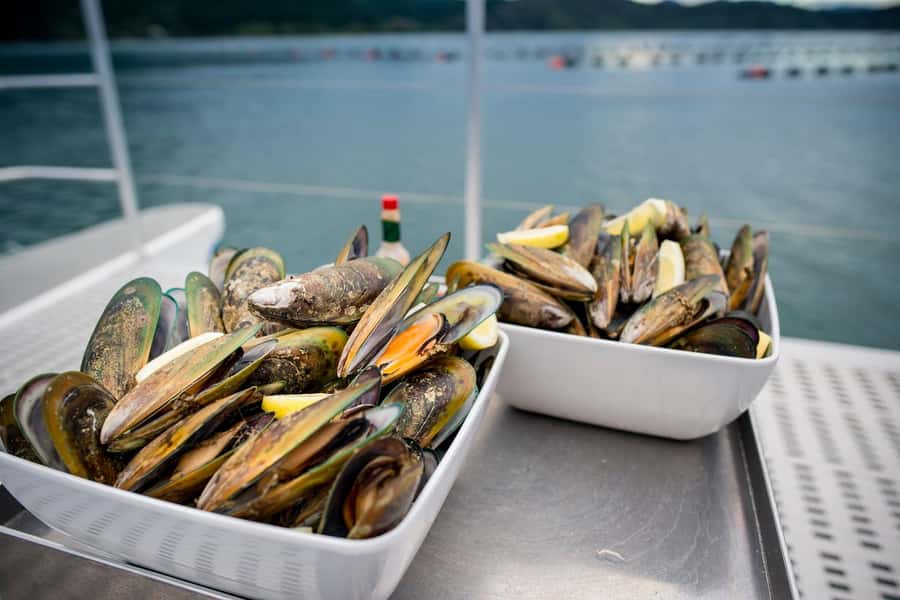 Marlborough: Full-Day Wine and Seafood Tour with Cruise - Key highlights to look for