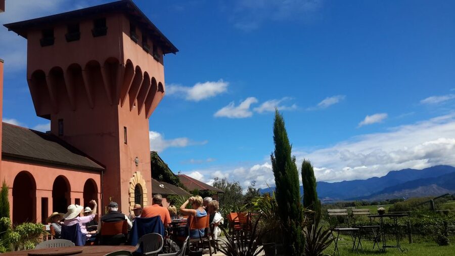 Marlborough Full Day Wine Tour - Practical tips so your day goes smoothly
