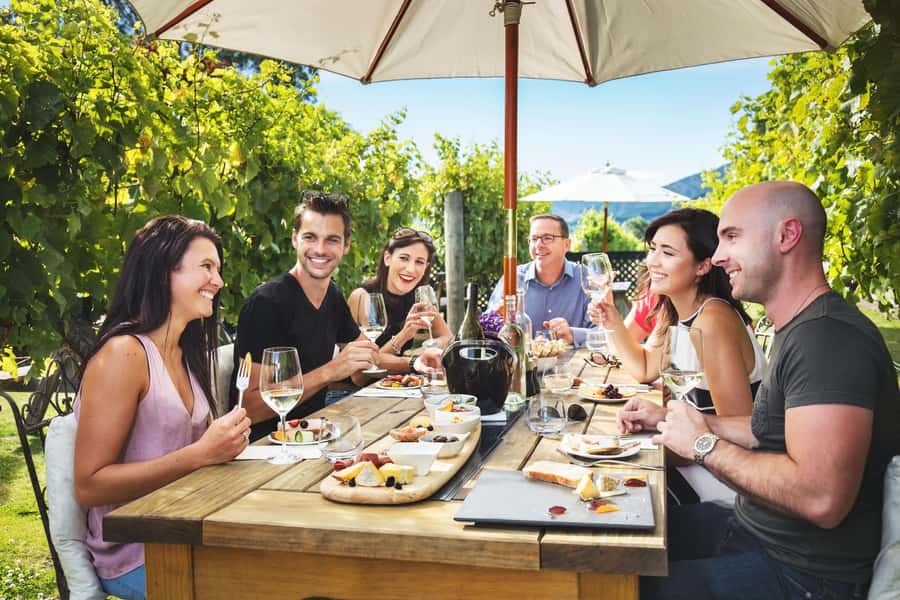 Marlborough: Full Day "Winemaker's Tour" - Key details that make this Marlborough tour feel worth it