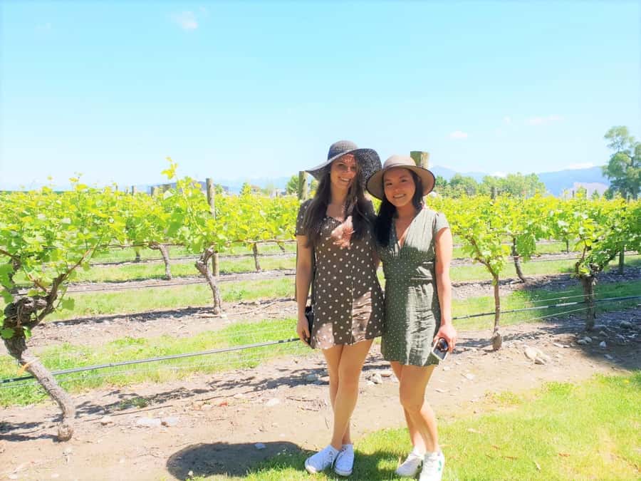 Marlborough: Full Day "Winemaker's Tour" - Entering Marlborough with a winemaker-style day plan