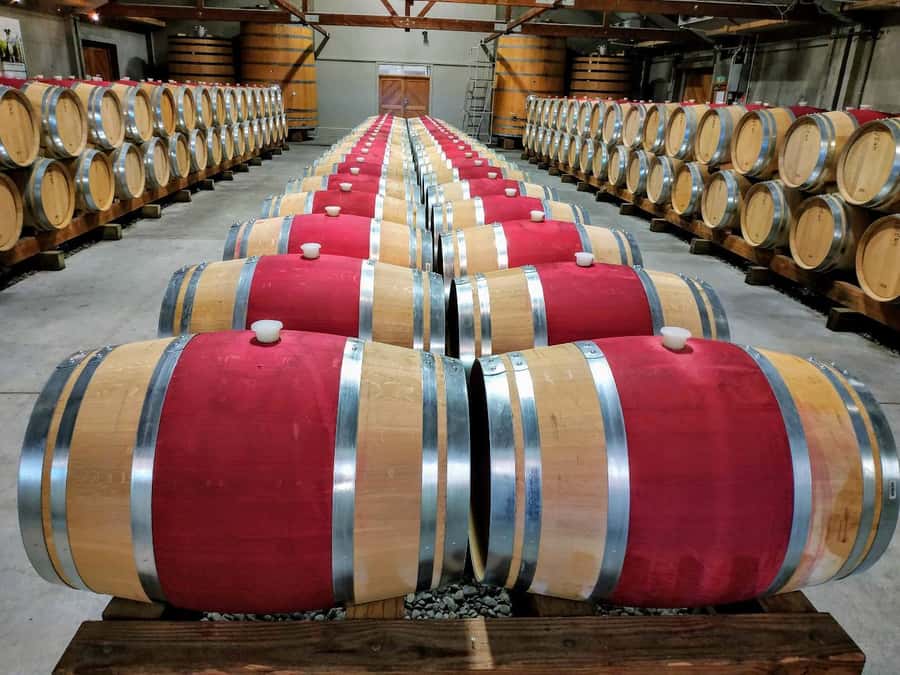 Marlborough: Half Day Blenheim Wine Tour - Eating & Sipping - A half-day that fits real life in Blenheim