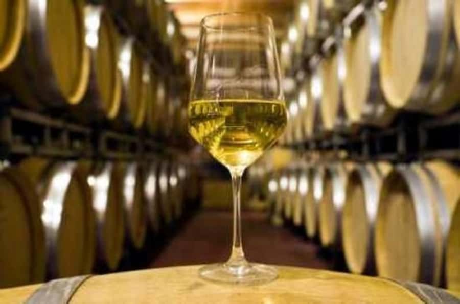 Marlborough Half-Day Wine Tour from Blenheim - Should You Book This Marlborough Half-Day Wine Tour From Blenheim?