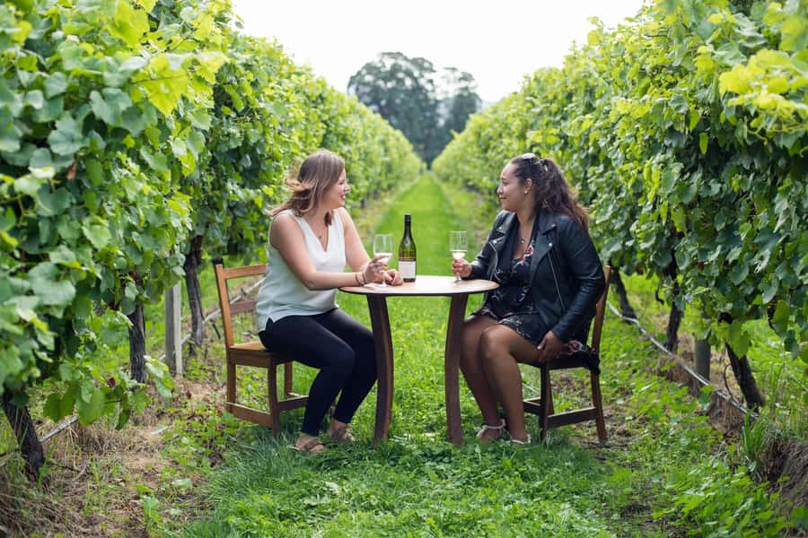 Marlborough Half Day Wine Tour From Picton - Small-Group, Real-World Guidance: The Driver-Guide Experience