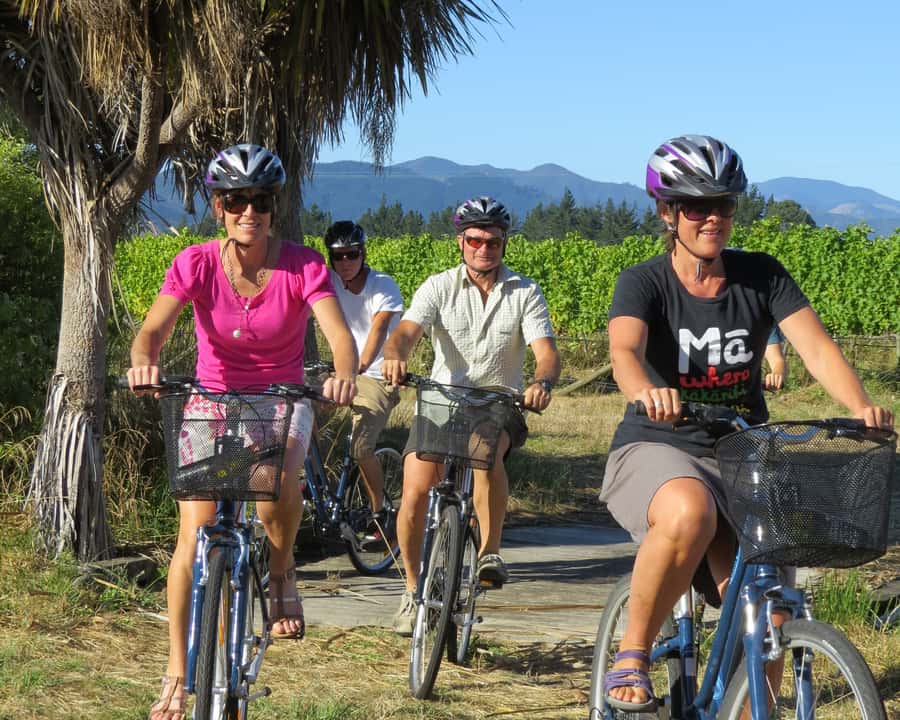 Marlborough: Half Guided and Half Self-Guided Bike Wine Tour - The morning biking wine tour: what you do and what you learn