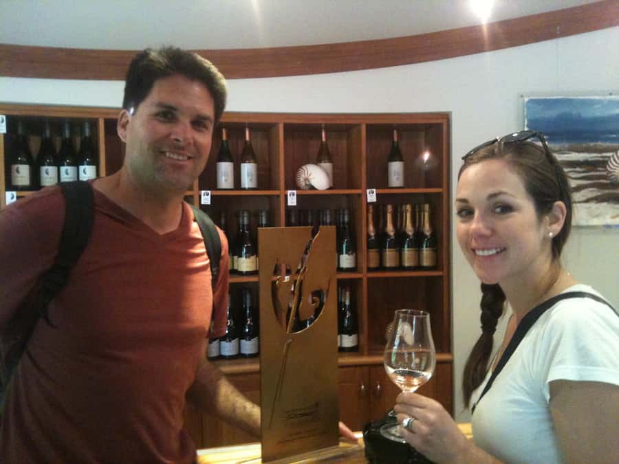 Marlborough: Half Guided and Half Self-Guided Bike Wine Tour - Price and value: what $110 buys you, really