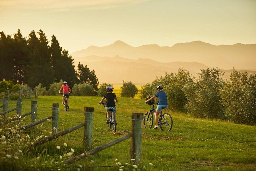 Marlborough: Half Guided and Half Self-Guided Bike Wine Tour - Comfort, weather, and the small details that matter