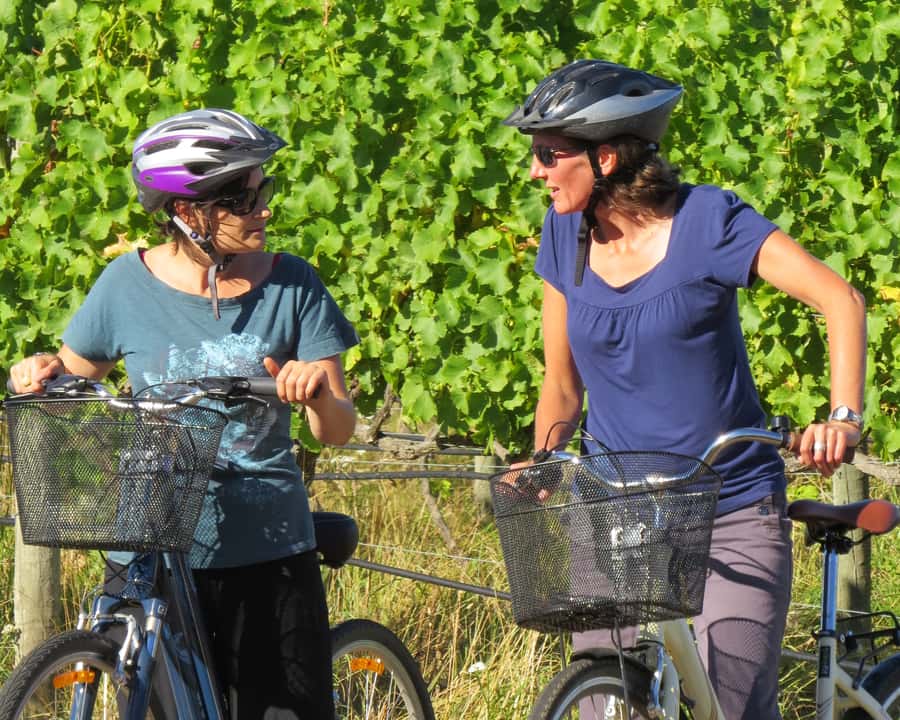 Marlborough: Half Guided and Half Self-Guided Bike Wine Tour - Getting to the vines: pickup timing and what it means for your day