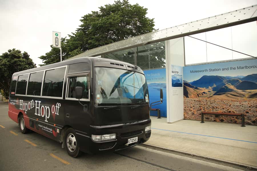 Marlborough: Hop-On Hop-Off Wine, Brewery, and Wonders Tour - Key things to know before you ride