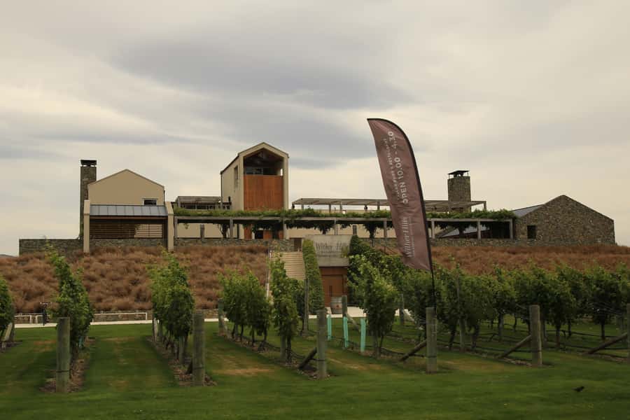 Marlborough: Hop-On Hop-Off Wine, Brewery, and Wonders Tour - Driver-guide tips: helpful without taking over your day