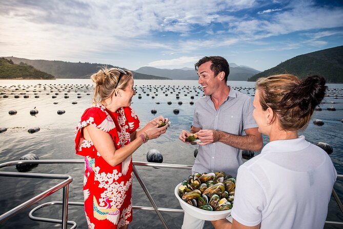 Marlborough Icons Tour - Wine tasting + Cruise - The cruise through Queen Charlotte Sound: seafood and scenery