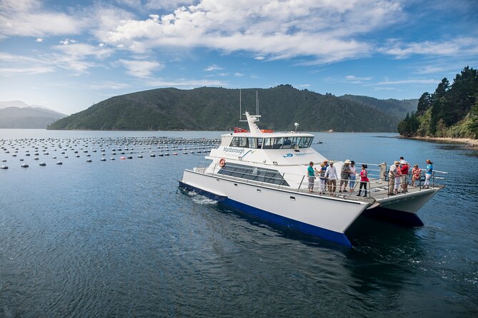 Marlborough Icons Tour - Wine tasting + Cruise - What you are drinking: tastings included, bar is optional